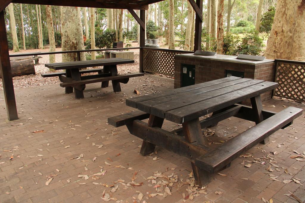 Depot Beach Cabins Villa Durras Ngoại thất bức ảnh